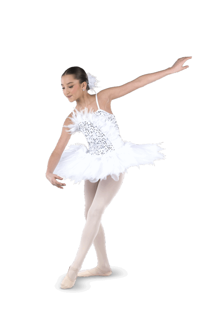 SWAN LAKE - Image 3